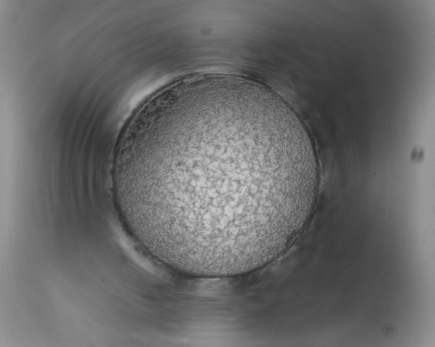 X0000114170050200910221700