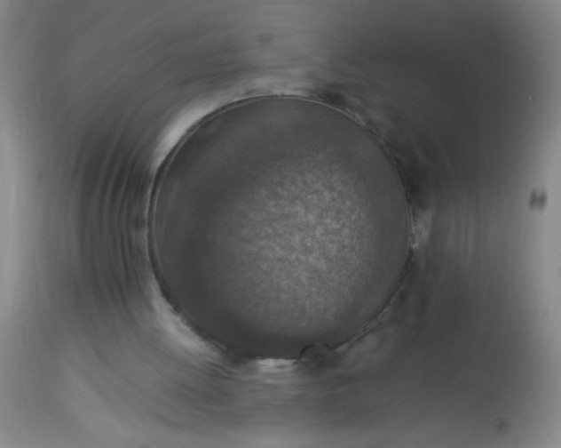 X0000114170052200910221700