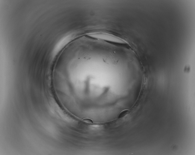 X0000114170053200910221700