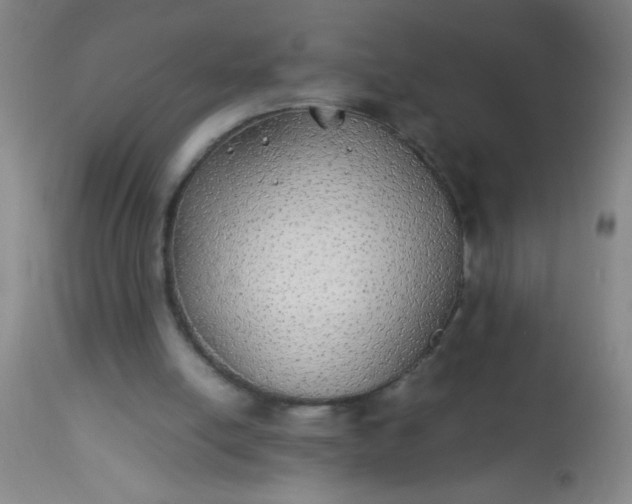 X0000114170054200910221700