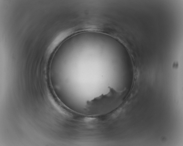 X0000114170055200910221700