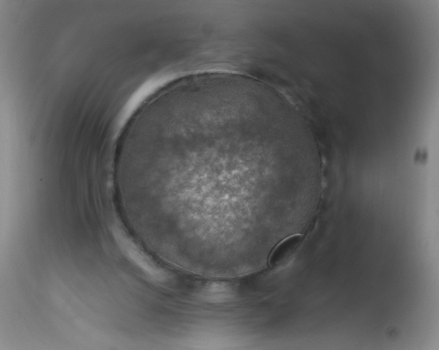 X0000114170056200910221700