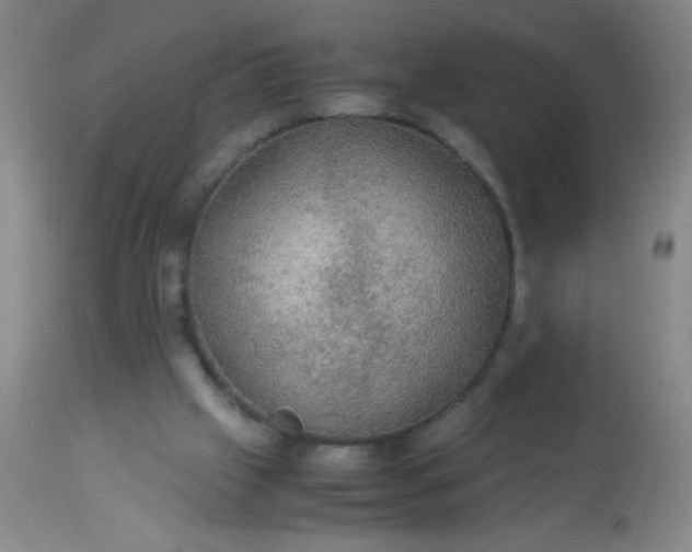 X0000114170057200910221700