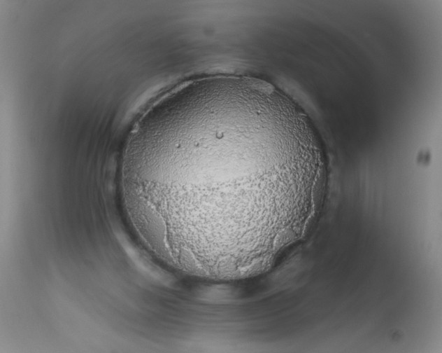 X0000114170058200910221700