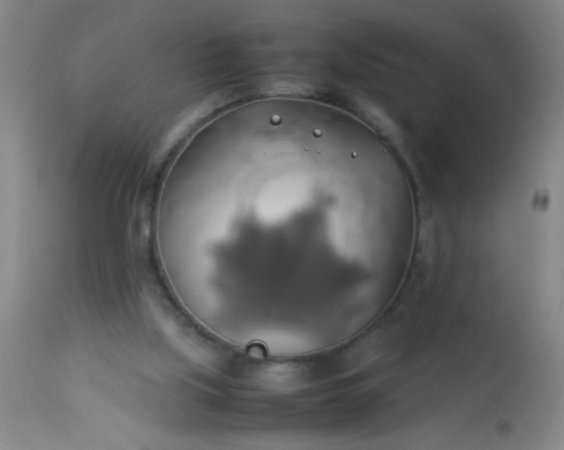 X0000114170059200910221700