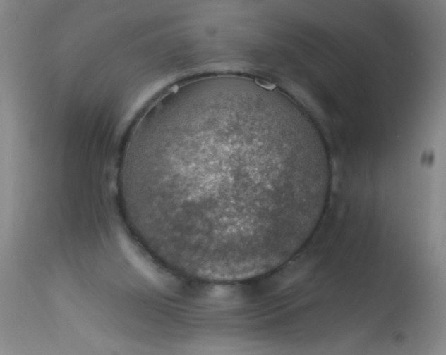 X0000114170060200910221700