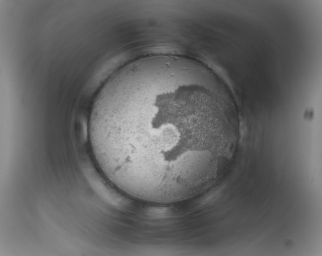 X0000114170061200910221700