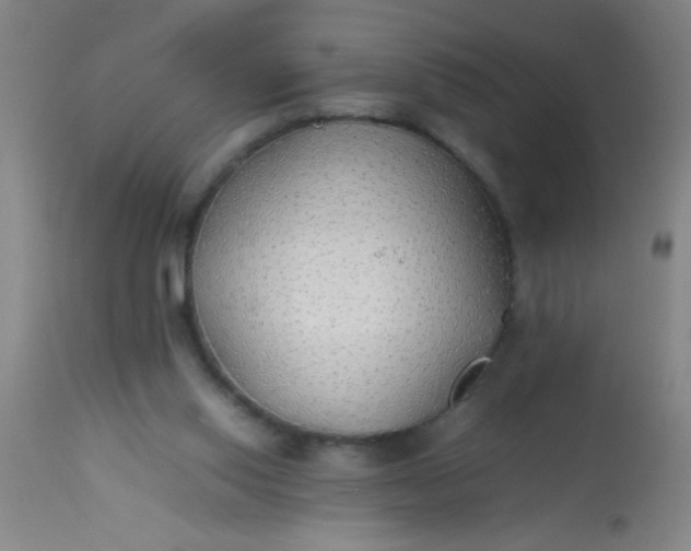 X0000114170062200910221700