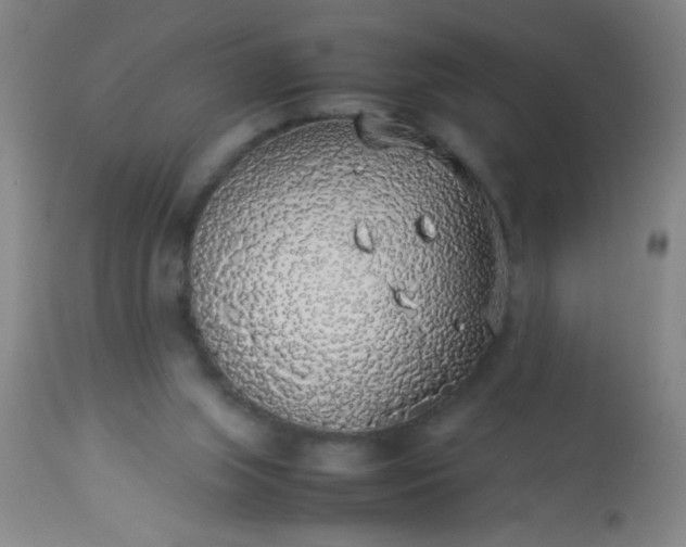 X0000114170063200910221700