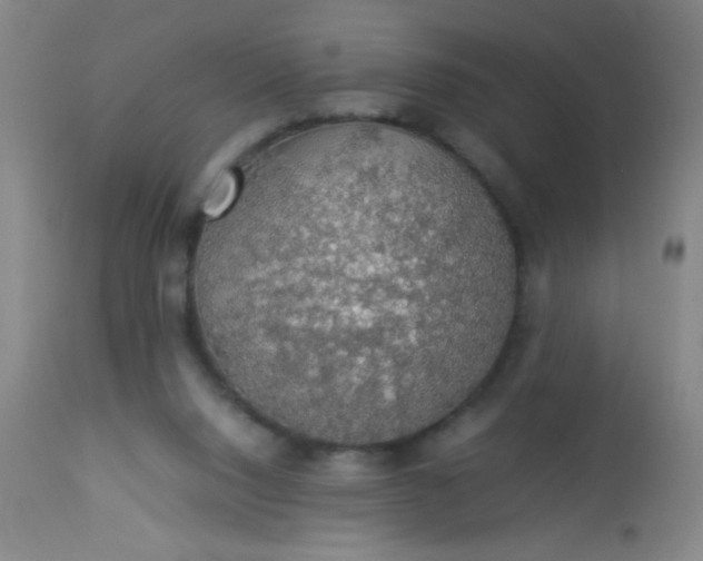 X0000114170064200910221700