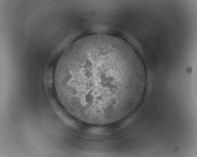 X0000114170065200910221700