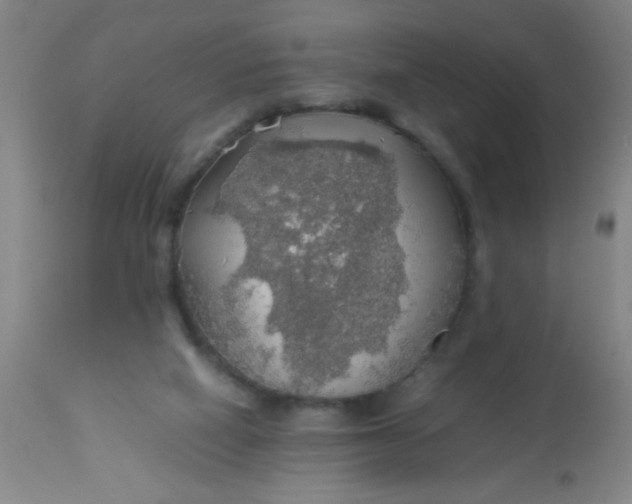 X0000114170066200910221700