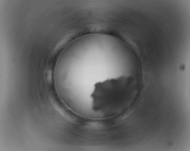 X0000114170067200910221700