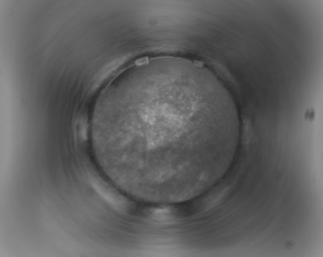 X0000114170068200910221700