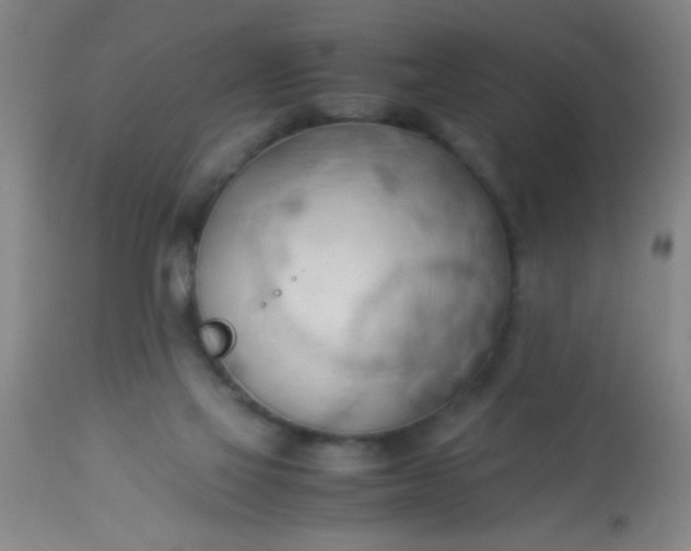 X0000114170069200910221700