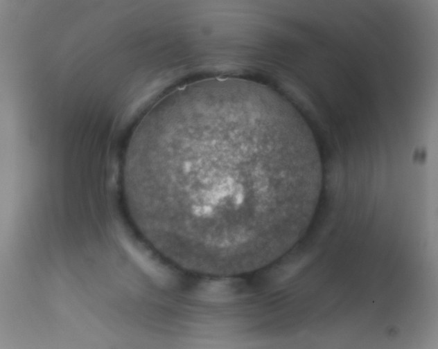 X0000114170072200910221700