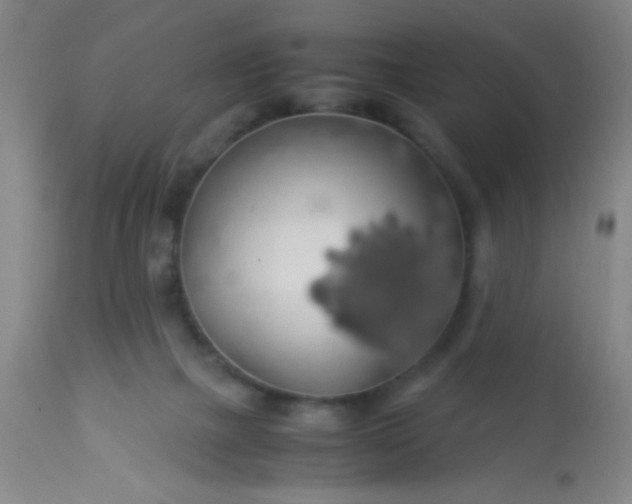 X0000114170073200910221700