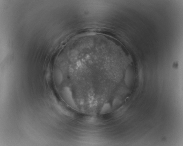 X0000114170074200910221700