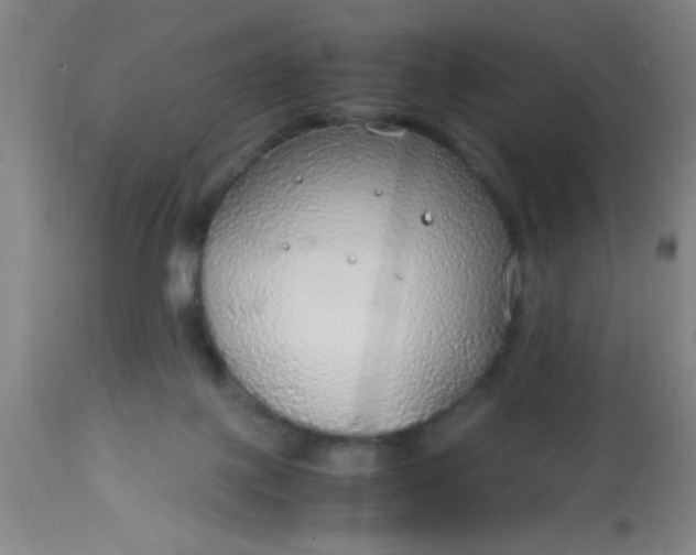 X0000114170075200910221700