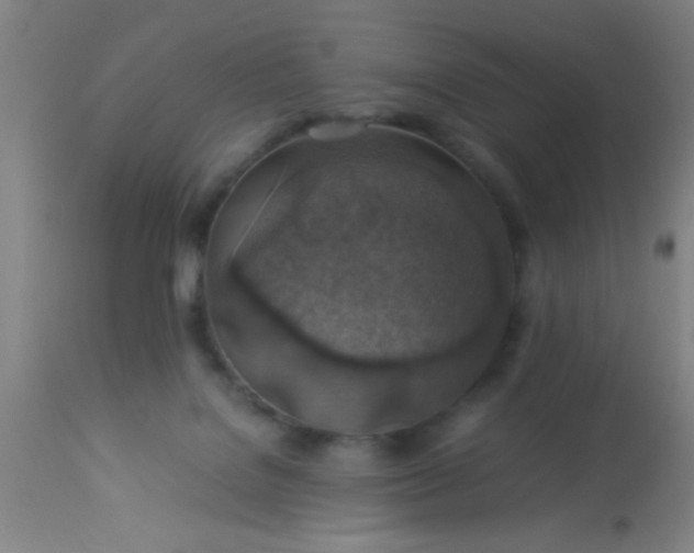 X0000114170076200910221700