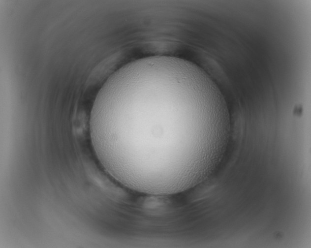 X0000114170077200910221700