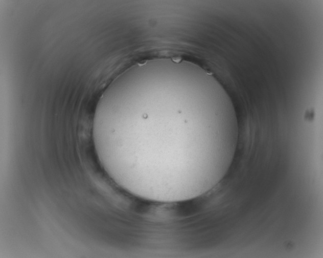 X0000114170078200910221700