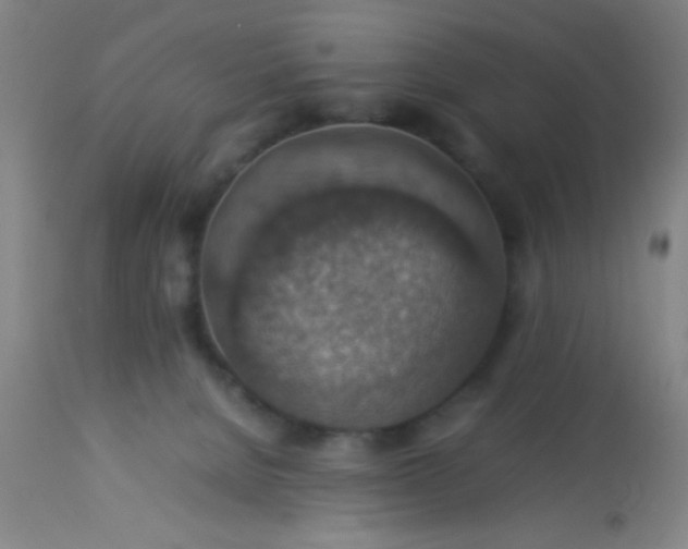 X0000114170080200910221700