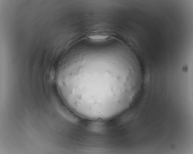 X0000114170081200910221700