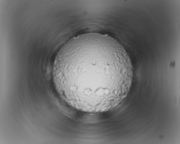 X0000114170082200910221700