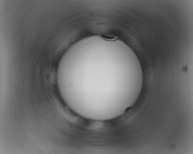 X0000114170083200910221700