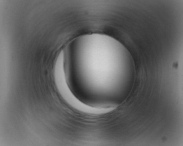 X0000114170084200910221700