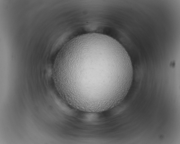 X0000114170085200910221701