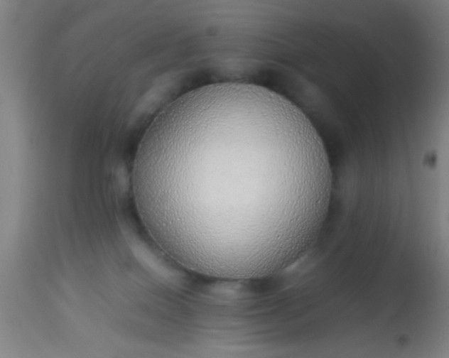 X0000114170086200910221701