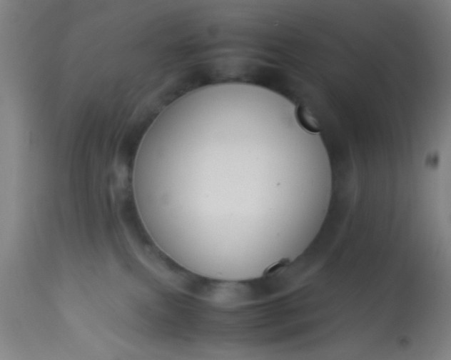 X0000114170087200910221701