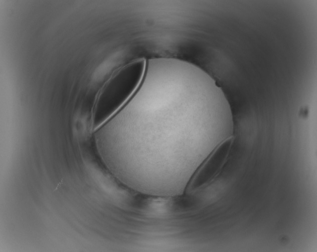 X0000114170088200910221701