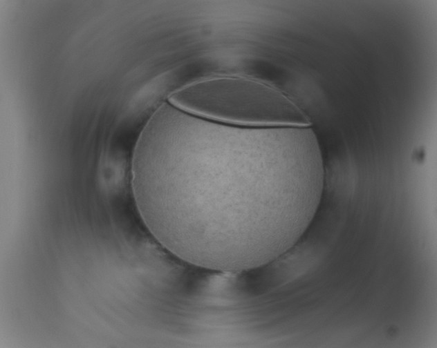 X0000114170092200910221701