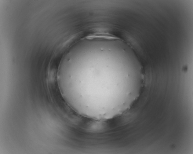 X0000114170093200910221701