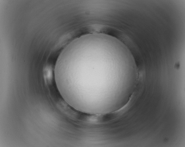 X0000114170094200910221701