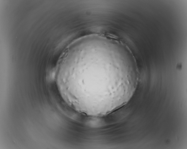 X0000114170095200910221701