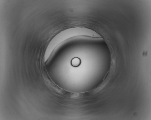 X0000114170096200910221701