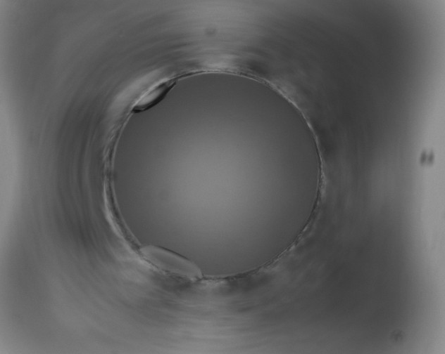 X0000114170097200910221700