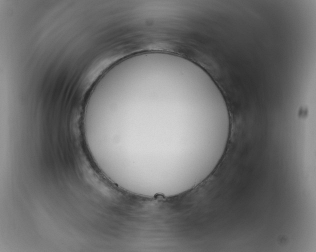 X0000114170098200910221700