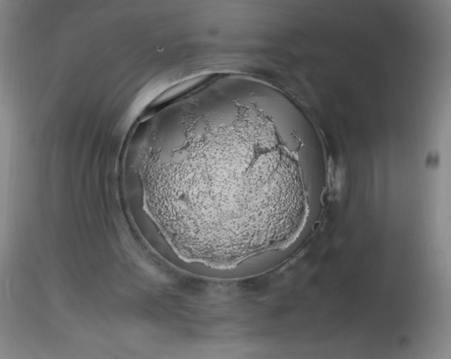 X0000114170099200910221700