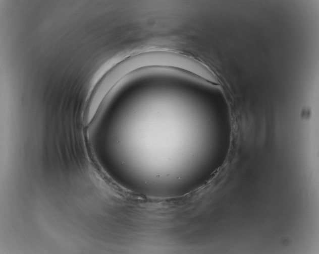 X0000114170100200910221700