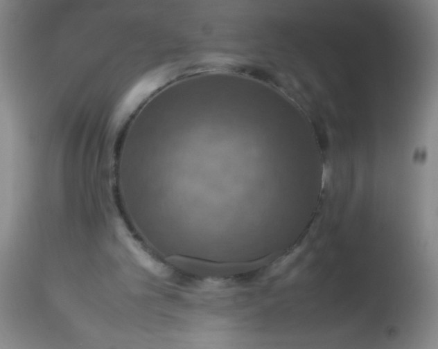 X0000114170101200910221700