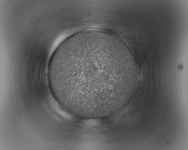 X0000114170102200910221700