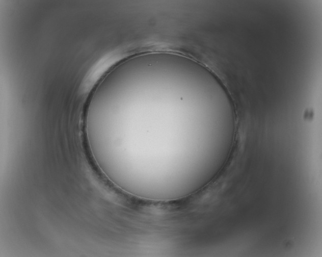 X0000114170103200910221700