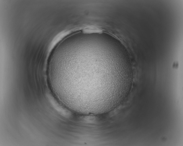 X0000114170104200910221700