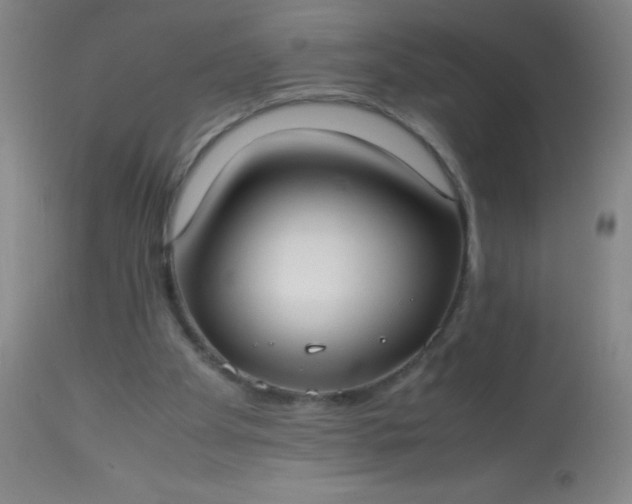 X0000114170105200910221700