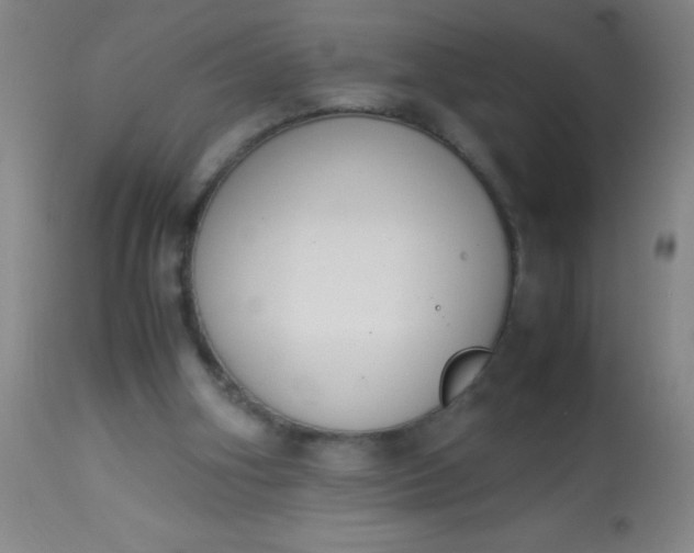 X0000114170106200910221700